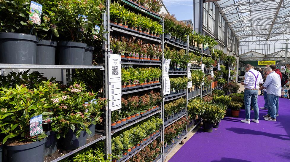 Four Oaks Trade Show 2024